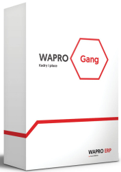 WAPRO GANG BIURO [DO 50 - PRACOWNIKÓW]